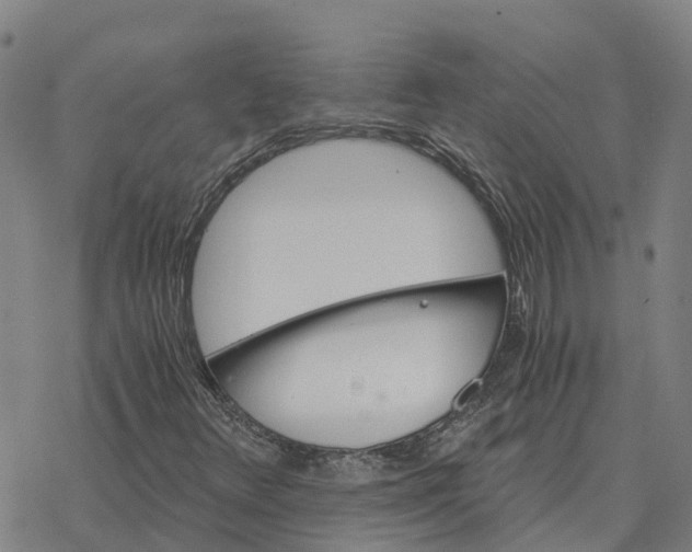 X0000076431348200610271723