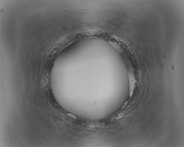 X0000076431349200610271723