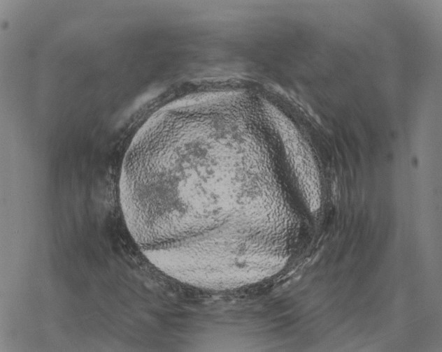 X0000076431350200610271723