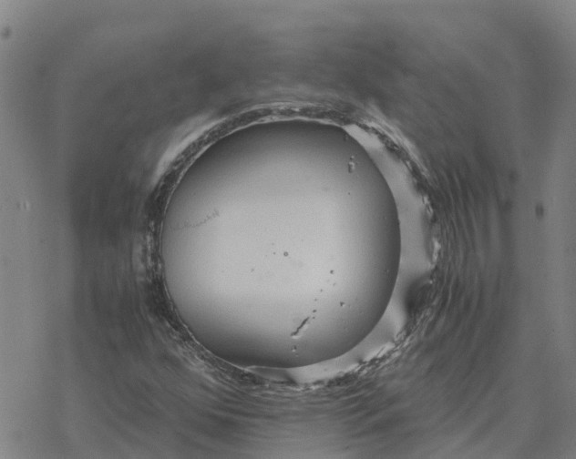 X0000076431352200610271723