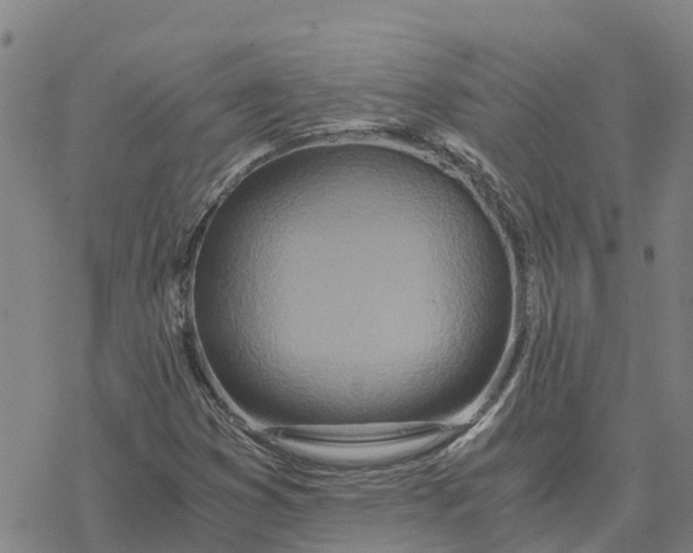 X0000076431353200610271723