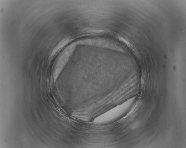 X0000076431354200610271723