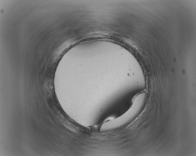 X0000076431355200610271723