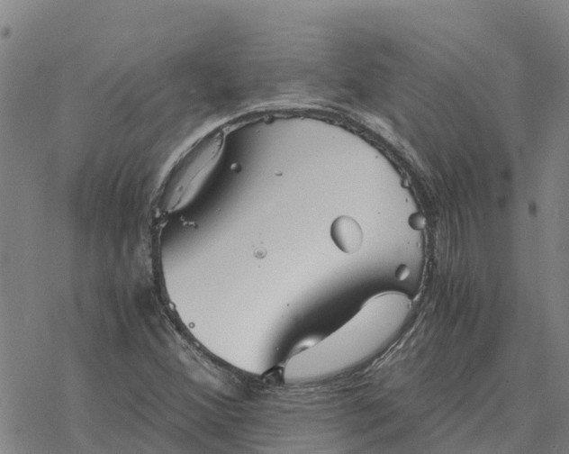 X0000076431356200610271723