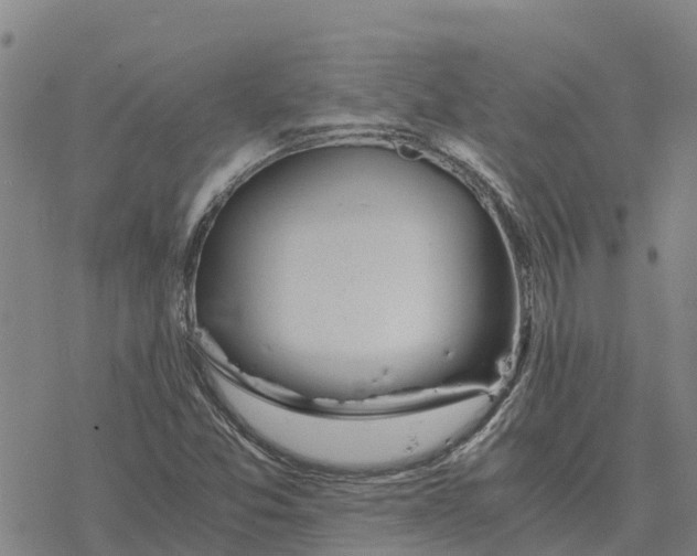 X0000076431357200610271723