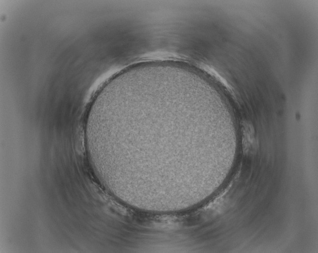 X0000076431358200610271723