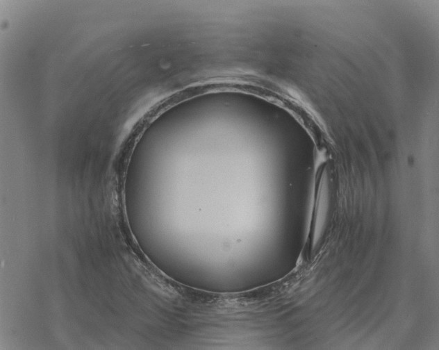 X0000076431360200610271723