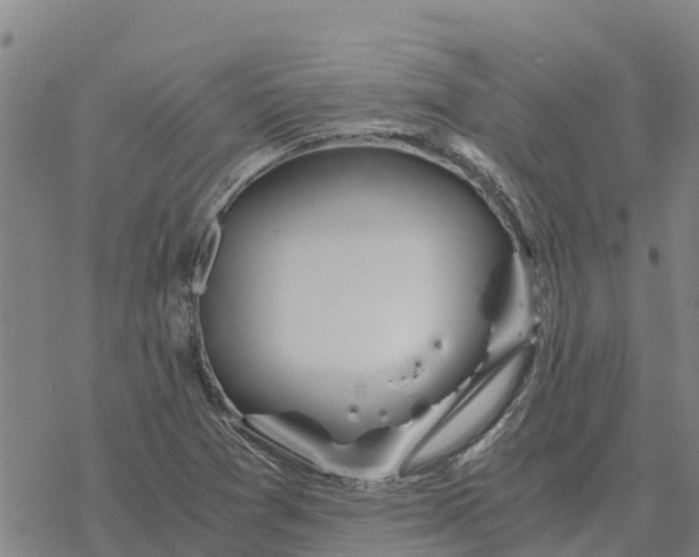 X0000076431361200610271723