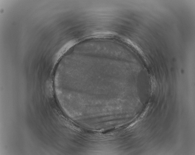 X0000076431362200610271723