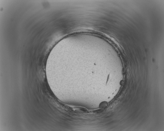 X0000076431363200610271723