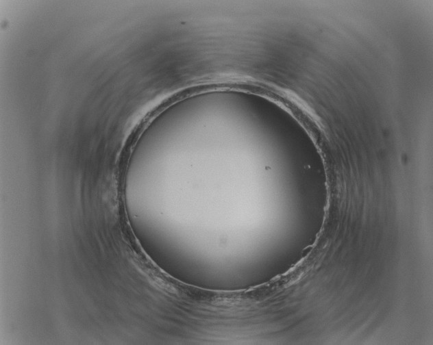 X0000076431364200610271722