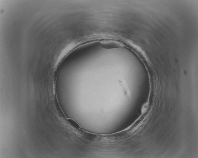 X0000076431365200610271722