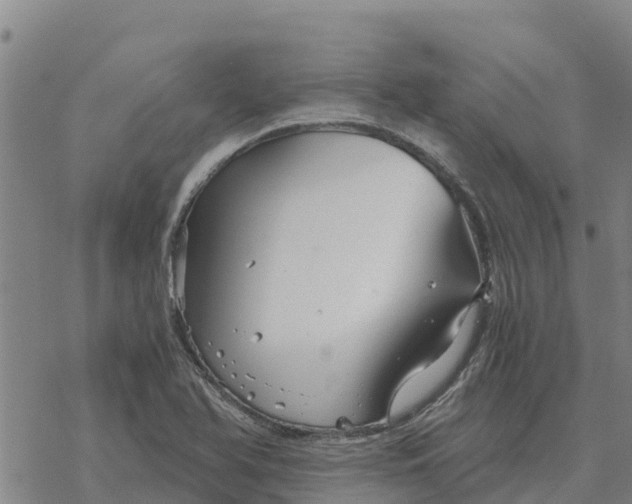 X0000076431366200610271722