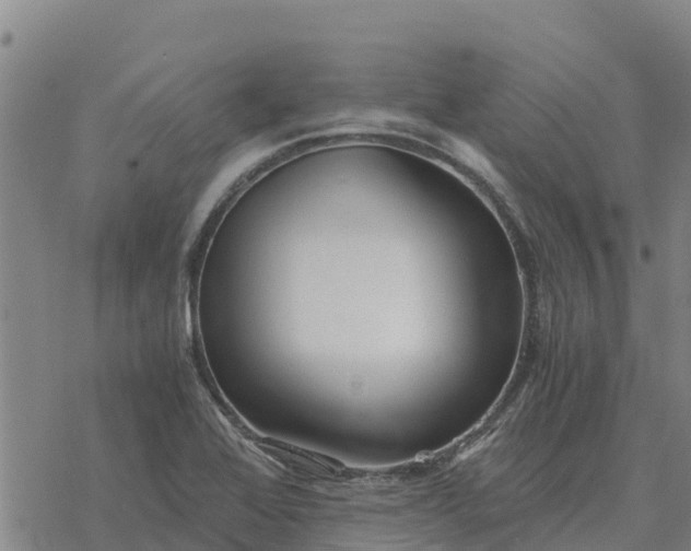 X0000076431368200610271722