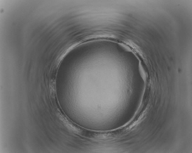 X0000076431369200610271722