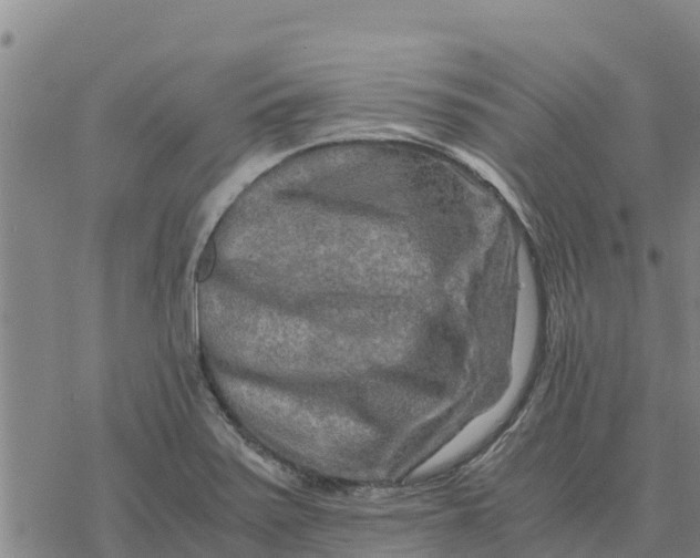 X0000076431371200610271722