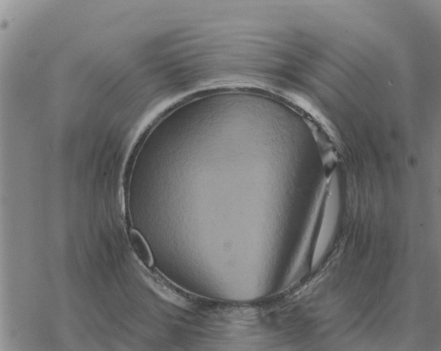 X0000076431372200610271722