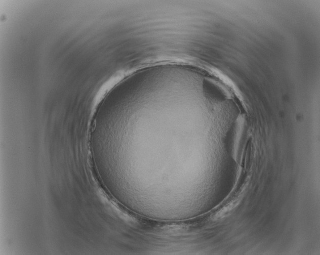 X0000076431373200610271722