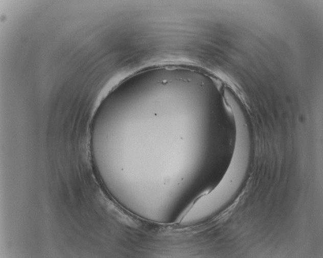 X0000076431374200610271722