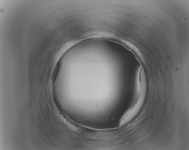 X0000076431375200610271722