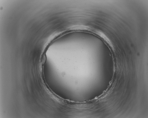 X0000076431376200610271722