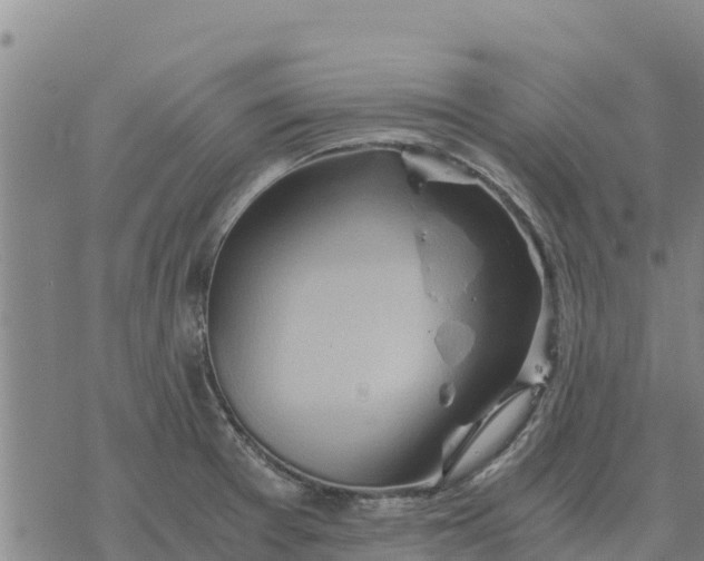 X0000076431377200610271722