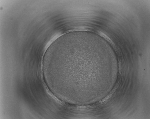 X0000076431378200610271722