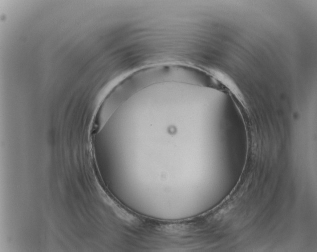 X0000076431380200610271722