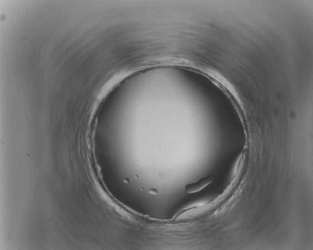 X0000076431381200610271722