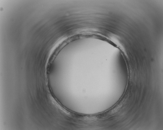 X0000076431384200610271722