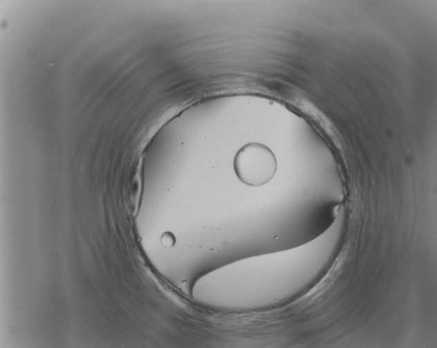 X0000076431385200610271722