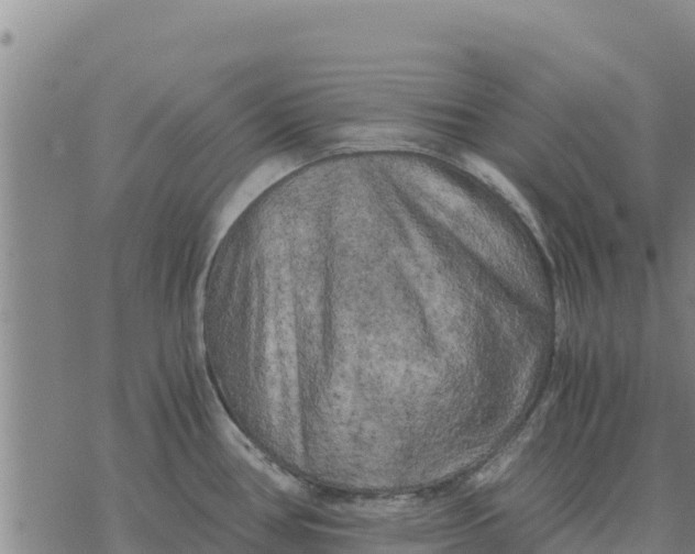 X0000076431386200610271722