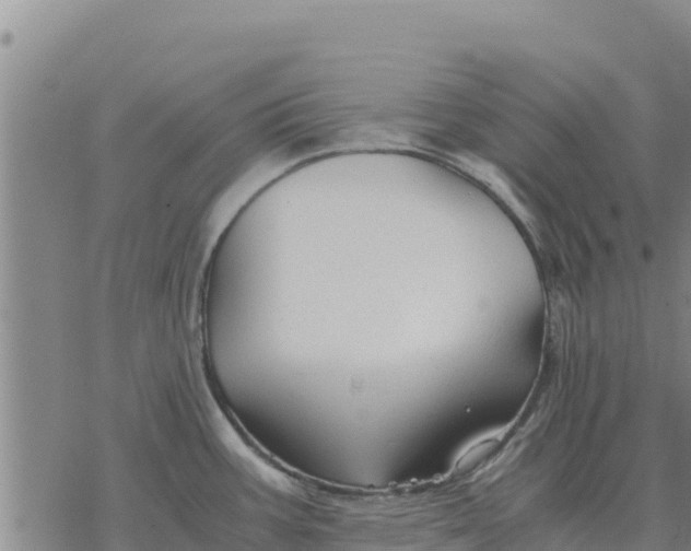 X0000076431387200610271722