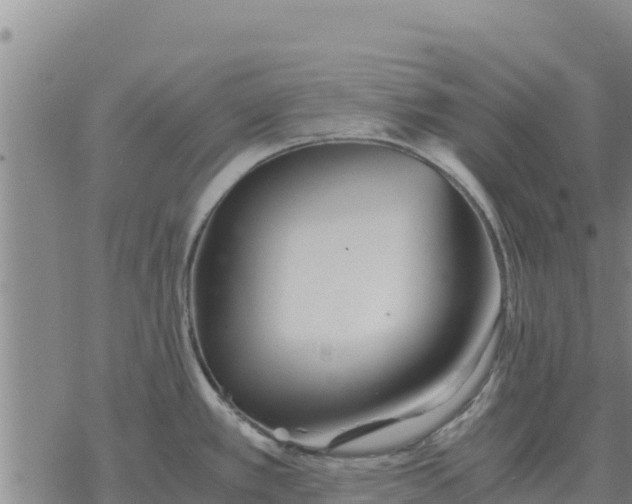 X0000076431389200610271722