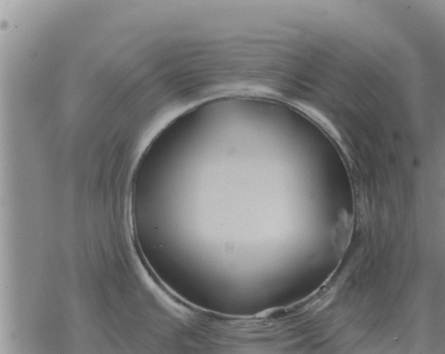 X0000076431391200610271722