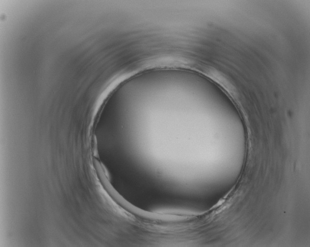 X0000076431392200610271722