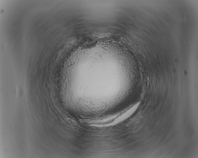 X0000076431393200610271721