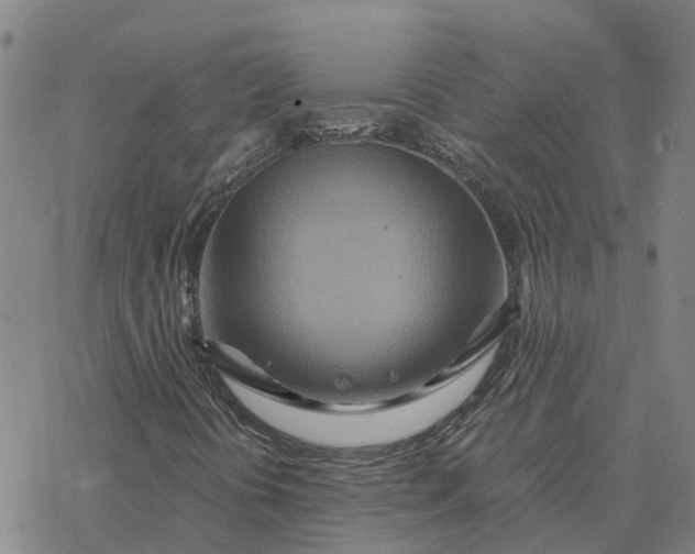 X0000076431394200610271721