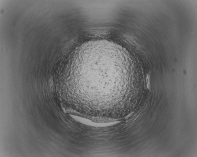 X0000076431395200610271721