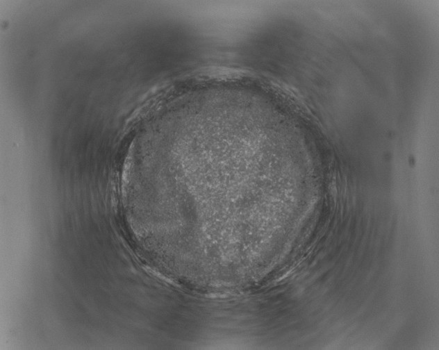 X0000076431397200610271721