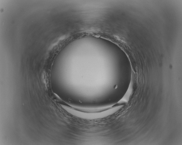 X0000076431398200610271721