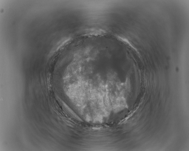 X0000076431399200610271721