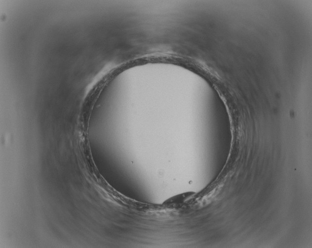 X0000076431400200610271721