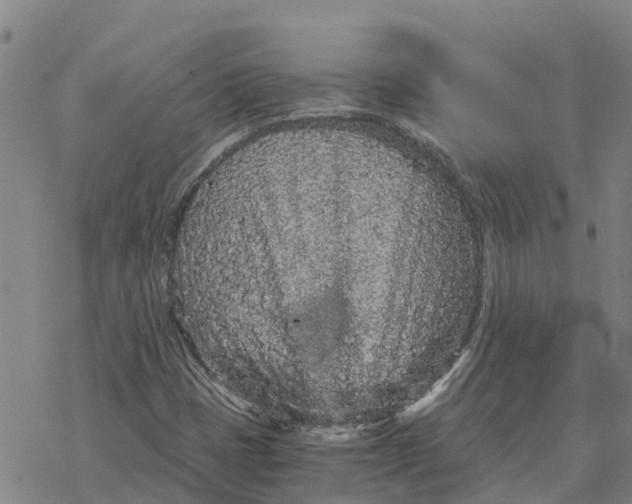 X0000076431401200610271721