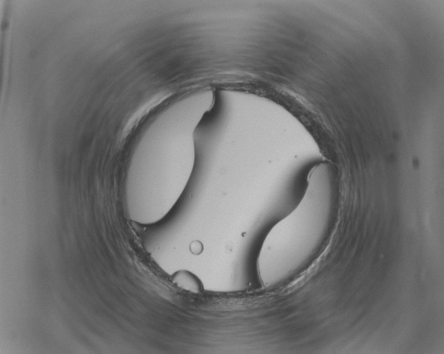 X0000076431402200610271721