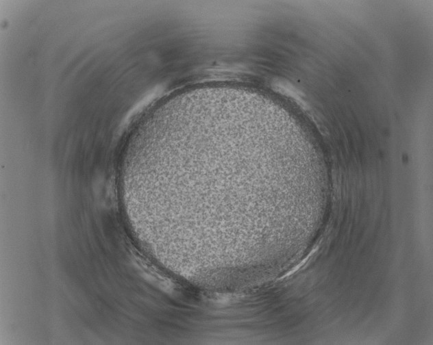 X0000076431403200610271721