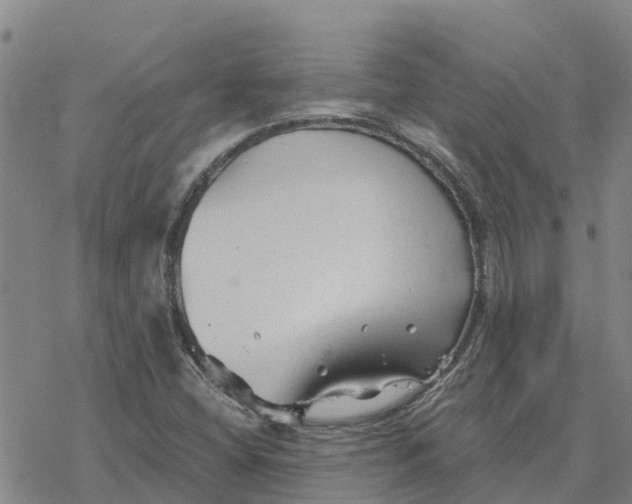 X0000076431404200610271721