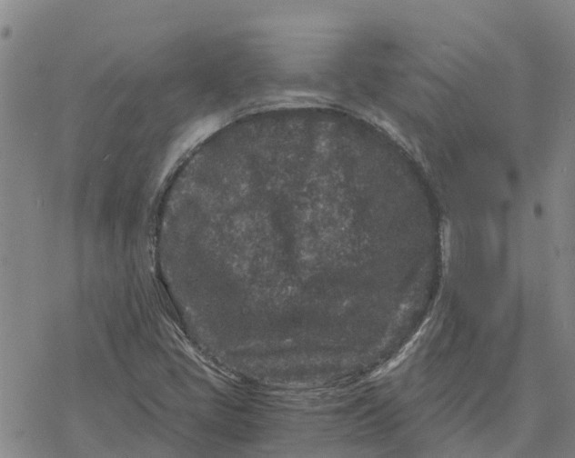 X0000076431405200610271721