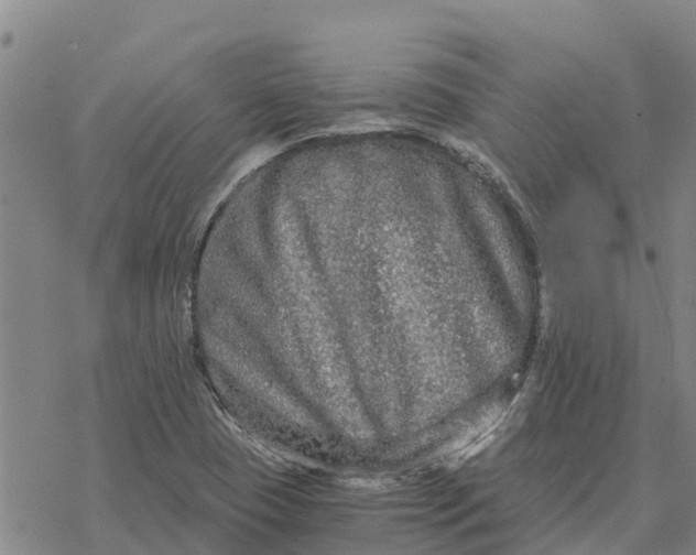 X0000076431409200610271722