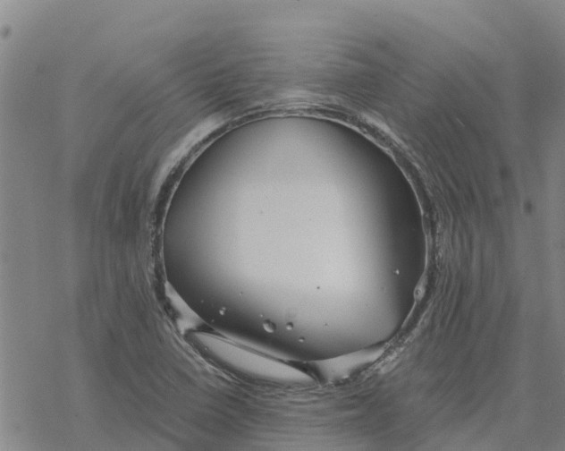 X0000076431410200610271722